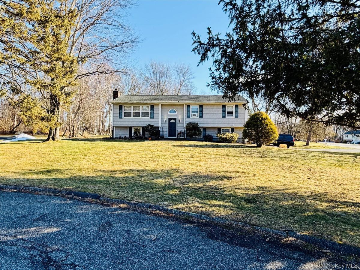 Raised ranch featuring a chimney and a front yard