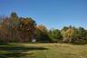 View of community featuring a yard