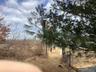 View of undeveloped land