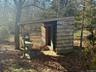 View of shed