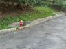 Lewis St.  Water connection