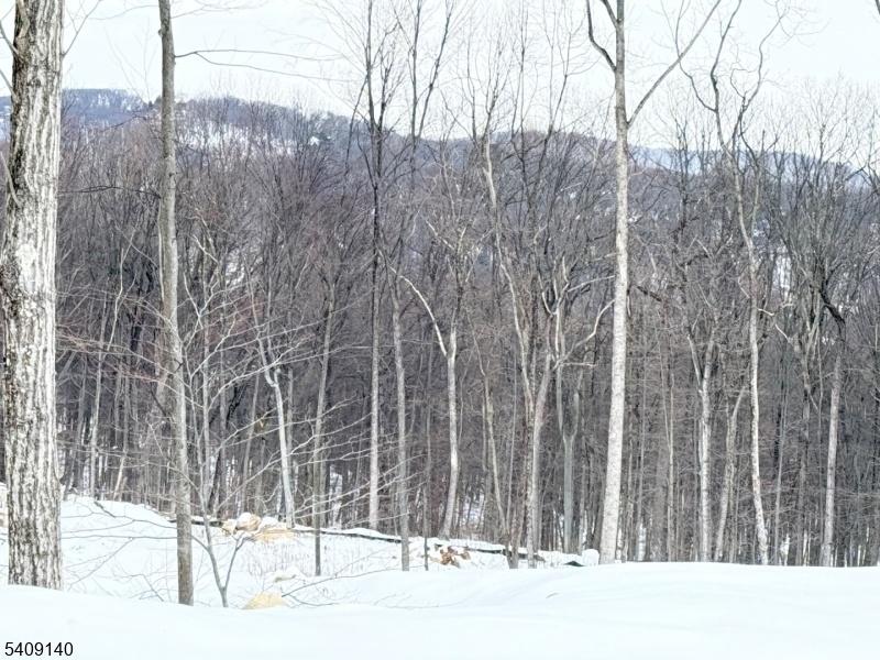 Build your dream home here!