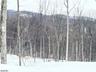 Build your dream home here!