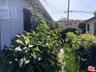 side yard