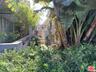 side yard
