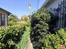 side yard