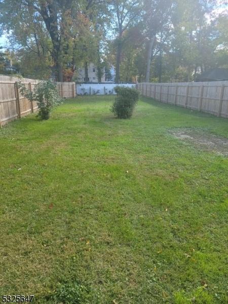 Large backyard