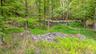 View of yard featuring a forest view