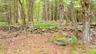 View of woods
