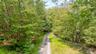 View of street with a forest view
