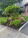 View of grassy yard