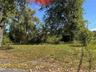View of undeveloped land