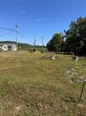 View of grassy yard