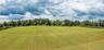 Looking north across the west field