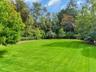 View of Lawn