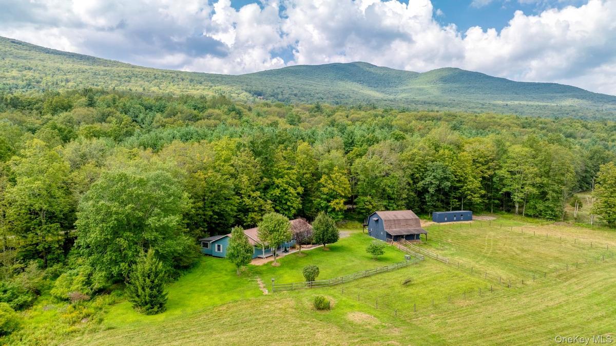 Overview of rural landscape featuring a heavily wooded area and a mountainous background