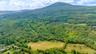 Drone / aerial view of a heavily wooded area and a mountainous background