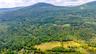 View of mountain backdrop with a forest