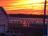 Sunset View