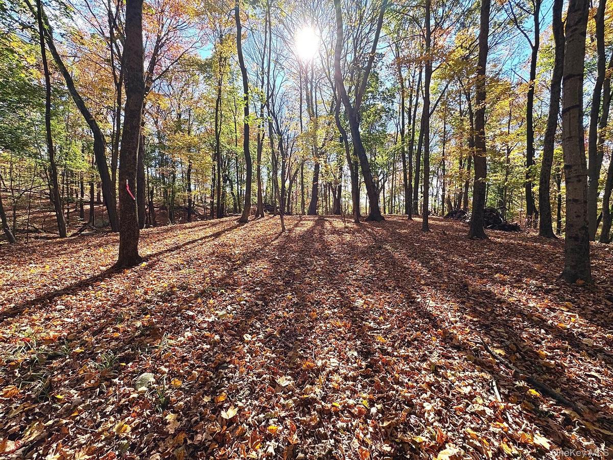 Beautiful and level homesite