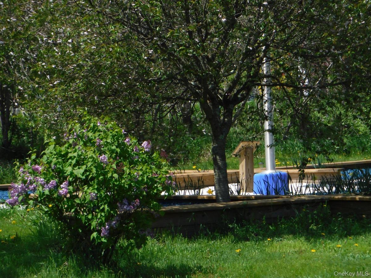 Surrounding community