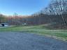 View of dirt / gravel road with a wooded view
