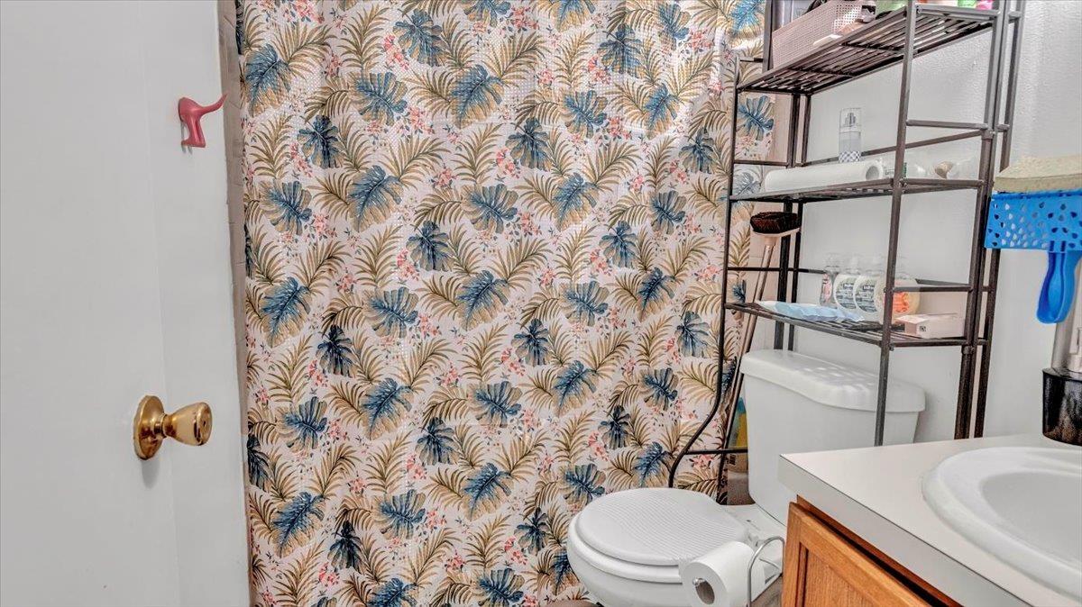 Full bath featuring toilet, vanity, and a shower with shower curtain