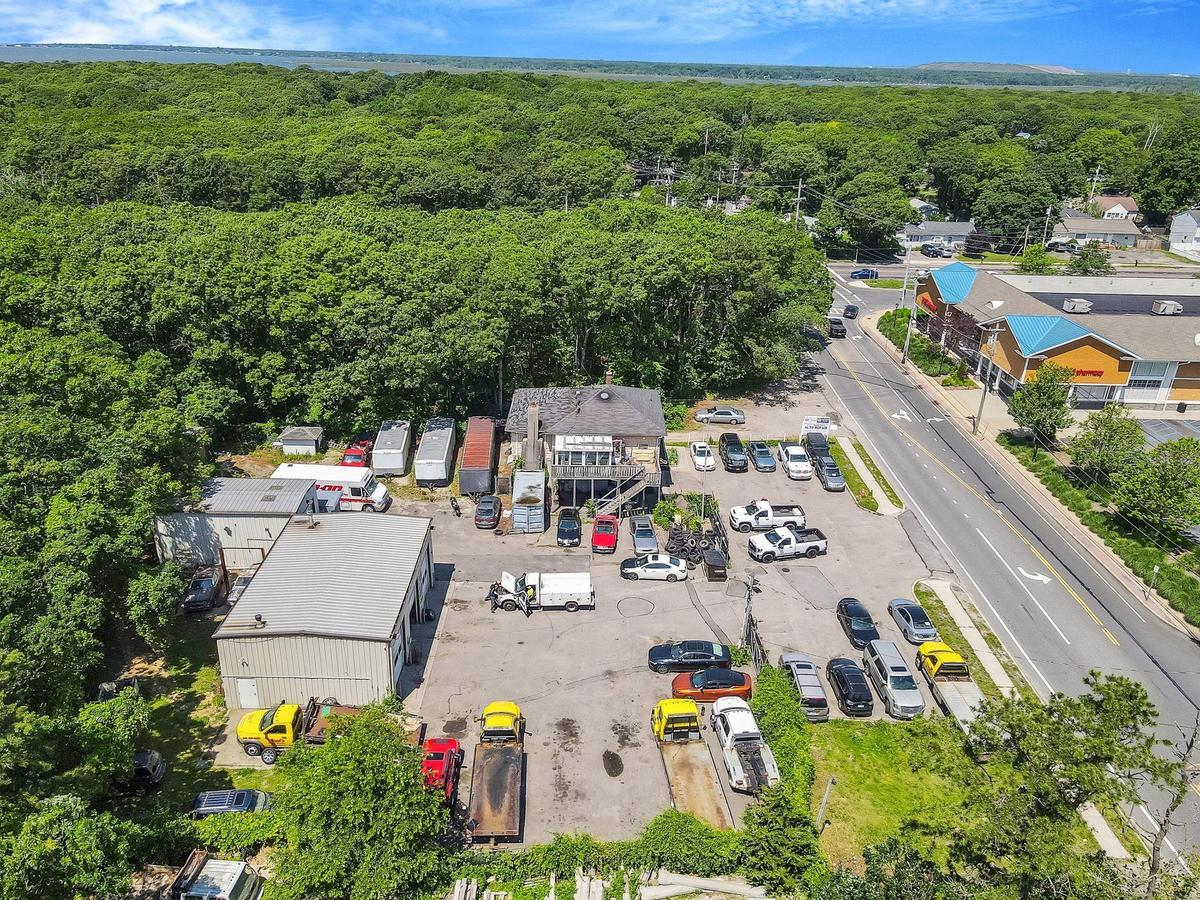 Bird's eye view of a forest