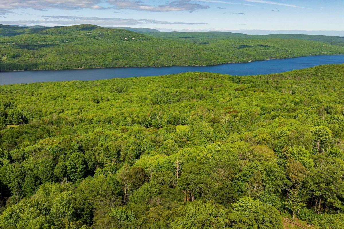Drone / aerial view of a forest and a water and mountain view