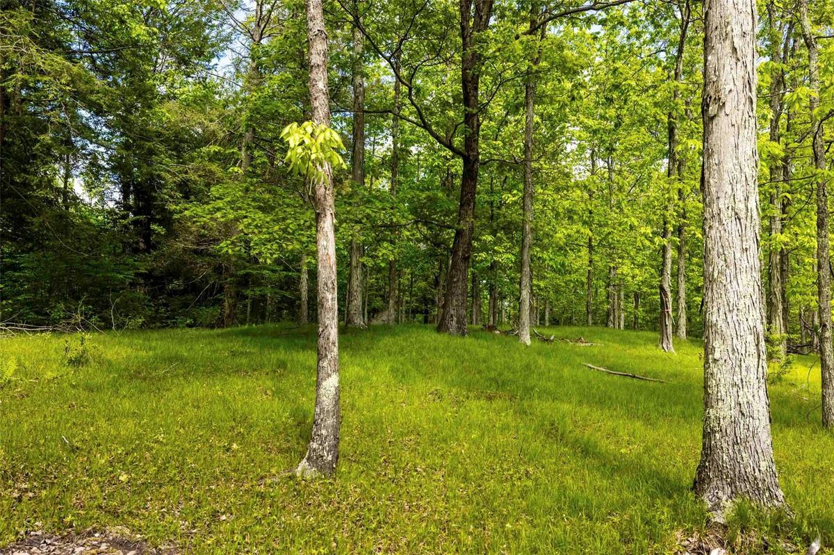 View of yard featuring a wooded view