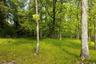 View of yard featuring a wooded view