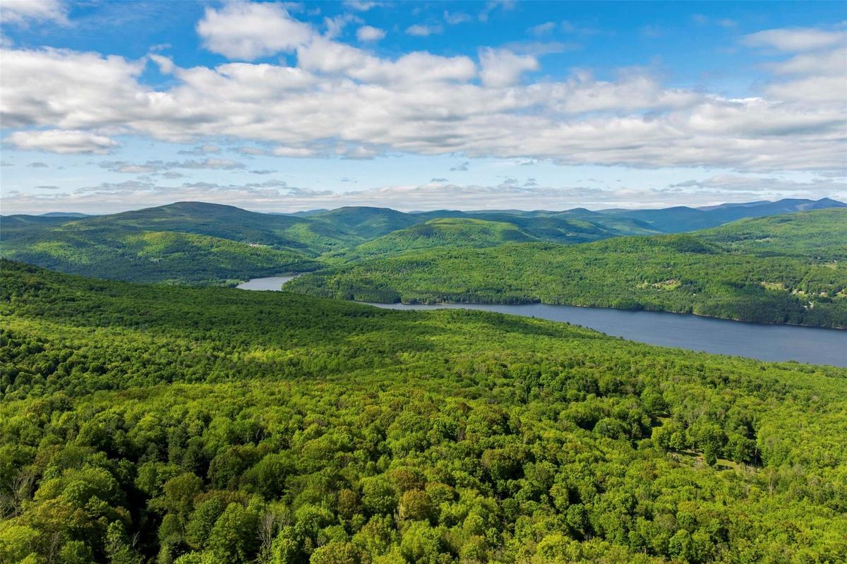 Mountain view featuring a forest and a large body of water