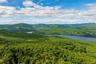 Mountain view featuring a forest and a large body of water