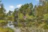 Water view with a heavily wooded area