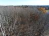 View of undeveloped land