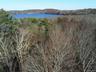 Water view with a heavily wooded area