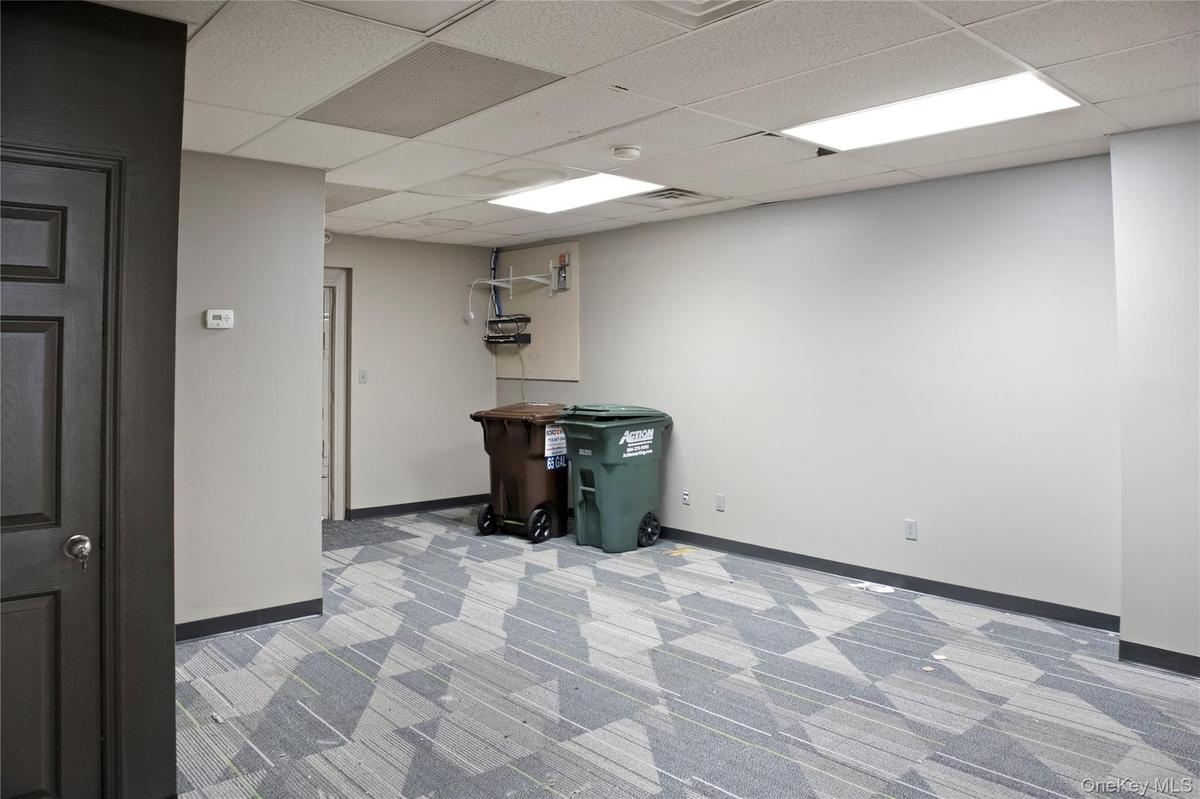 Basement with light carpet and a paneled ceiling
