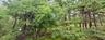 View of nature