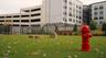 Canterly Place Dog Park