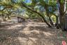 HORSE STALLS