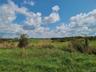 View of local wilderness featuring a rural view