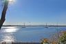 Water Views