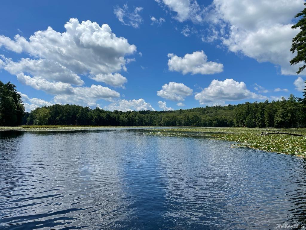 Water view with a heavily wooded area