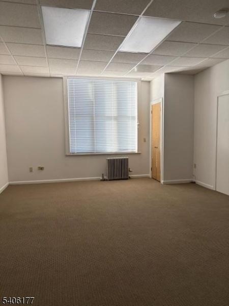 Carpet in all offices