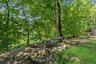 Tranquil Rear Garden on Forest