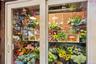 Flower refrigerator