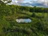 Aerial view of pond