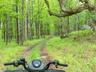Perimeter trail