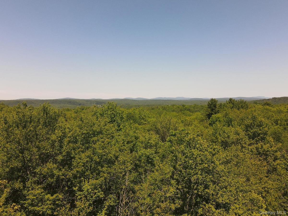 View of woods