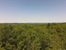 View of woods